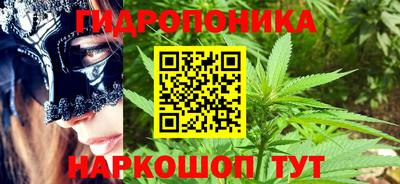 сатива Аргун