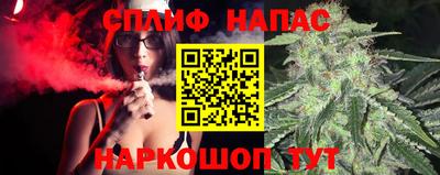 сатива Аргун