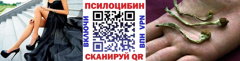 Галлюциногенные грибы Cubensis Фурманов