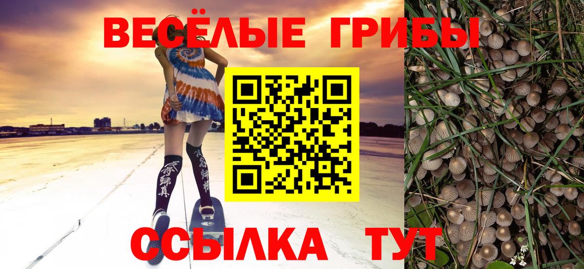 Псилоцибиновые грибы GOLDEN TEACHER Фурманов
