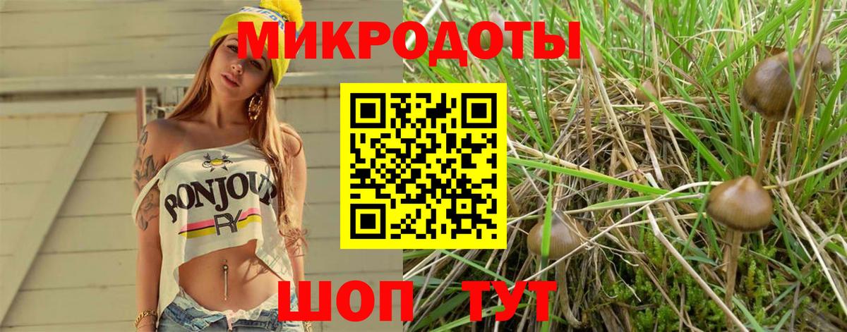 Галлюциногенные грибы Cubensis  Вход с VPN  Фурманов  Псилоцибиновые грибы MAGIC MUSHROOMS 